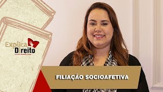 Explica Direito Filiação Socioafetiva  2019 [upl. by Kim74]