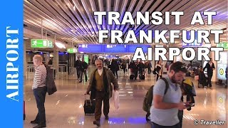 TRANSIT WALK AT FRANKFURT Airport FRA Terminal 1  Connection Flight Transfer Arriving amp Departing [upl. by Nissy]